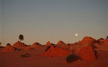Mungo Lodge Tours And Accommodation - Stayed 8