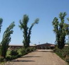 Newell Motor Inn - Narrandera - Stayed