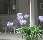 Pine Lodge Motel - Woolgoolga - Stayed