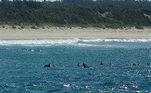 Sussex Shores RSL Units - Sussex Inlet - Stayed 4