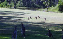 Sussex Shores RSL Units - Sussex Inlet - Stayed 6