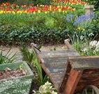 The Carrington Inn - Stayed