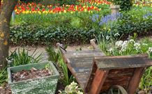 The Carrington Inn - Stayed 0