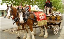 The Commercial Hotel Tumut - Tumut - Stays Accommodation 6