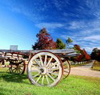 Oaks Ranch  Country Club - Stayed