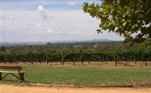 The Vineyard Motel - Cowra - Stayed 1