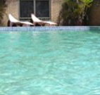 Toreador Motel - Coffs Harbour - Stayed