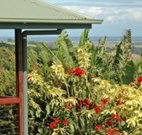 Alstonville Country Cottages - Stayed