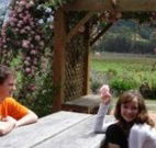 Back Forest Retreat - Stayed