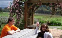 Back Forest Retreat - Stayed 0