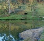 Barkeldine Farm Country Retreat - Stayed