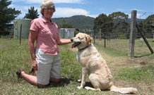 Big Bell Farm - Stayed 2