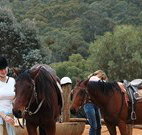 Clark Bay Cottages - Stayed