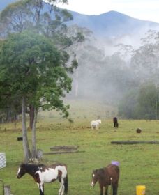 Hillview Farmstay - Stayed 1