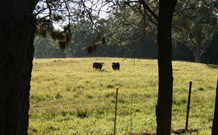 Historic Roseneath Station - Stayed 6