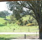 Hosanna Farm Retreat - Stays Accommodation