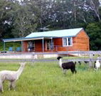 Moorallie Cottage Farm Stay - Stayed