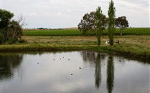 Old Redbank Farm Holiday - Stayed 1