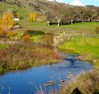 Ralda's Cottage - Stays Accommodation