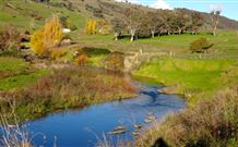 Ralda's Cottage - Stays Accommodation 0