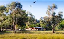 Starline Alpaca Farm Stay - Stayed 2