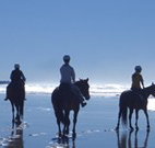 Whispering Brook - Stayed