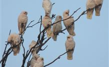 The York Heritage Hotel And Terraces - Stays Accommodation 7