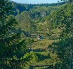 Yarralong BnB and Farm Stay - Stayed