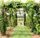 All Saints Bed and Breakfast - Stayed