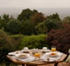 Barefoot Springs Bed and Breakfast - Stayed