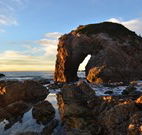 Bellbird Cottage Bed and Breakfast - Stayed