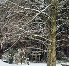 Bethany Manor Bed and Breakfast - Stayed