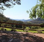 Cedar Grove - - Stayed