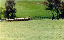 Gooromon Park Cottages - Stays Accommodation 0