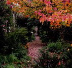 Gulgong B and B - Stayed