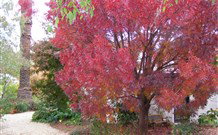 Langford House B&B - Stayed 4