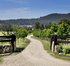 Pemberley Grange Hunter Valley Getaway - Stayed