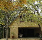 Rose Lindsay Cottage - Stayed