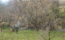 Sheridan B And B - Stayed 2