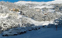 The Lions Lair Lodge - - Stayed 0