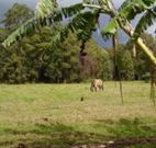 The Watertank Bed and Breakfast - Stays Accommodation