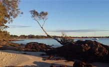 Tree Tops Bed And Breakfast Jervis Bay - Stayed 6