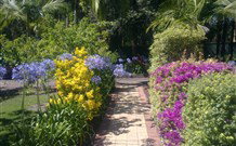 Wamberal Cottage - Stayed 7