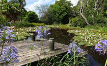 Yellow Dog Cottage - - Stayed 4