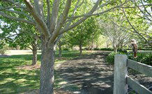 Yellow Dog Cottage - - Stayed 6