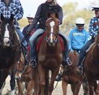 Jemby Rinjah Eco Lodge - Stayed