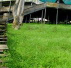 Snowy Valley Resort - Stayed