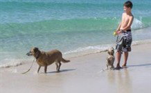 A Paradise Bungalow Waterfront - Stays Accommodation 0