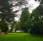 Brigalow Cottage - Stayed