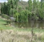 Cedar Grove - Stayed